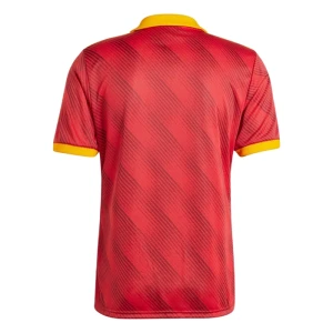Fotbalové Dresy AS Roma 2024-25 Fourth Dres Mužské