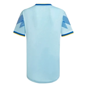 Fotbalové Dresy Boca Juniors 2023-24 Alternativní Dres Mužské