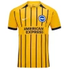Fotbalové Dresy Brighton Hove Albion 2024-25 Venkovní Dres Mužské