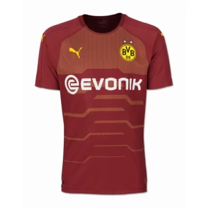 Fotbalové Dresy BVB Borussia Dortmund 2018-19 Alternativní