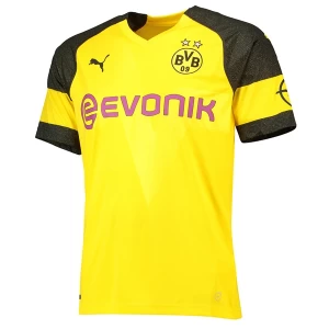 Fotbalové Dresy BVB Borussia Dortmund 2018-19 Domácí