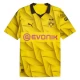 Fotbalové Dresy BVB Borussia Dortmund 2023-24 Cup Alternativní