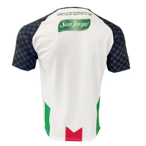 Fotbalové Dresy CD Palestino 2025-26 Domácí Dres Mužské