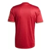 Fotbalové Dresy FC Bayern München 2024-25 125th Anniversary Domácí Dres Mužské