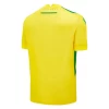 Fotbalové Dresy FC Nantes 2024-25 Domácí Dres Mužské