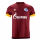 Fotbalové Dresy FC Schalke 04 2021-22 Alternativní Dres Mužské