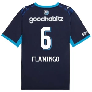 Fotbalové Dresy Flamingo #6 PSV Eindhoven 2026-27 Třetí Dres Mužské