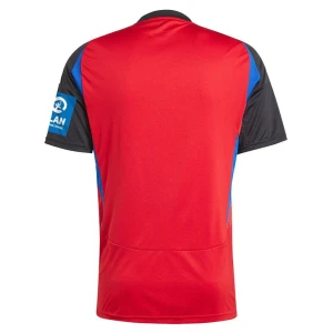 Fotbalové Dresy Hamburger SV 2024-25 Alternativní Dres Mužské