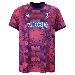 Fotbalové Dresy Juventus FC 2022-23 Alternativní