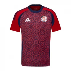 Fotbalové Dresy Kostarika Copa America 2024 Domácí Dres Mužské