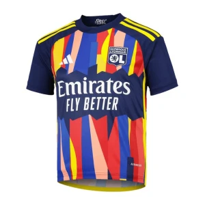 Fotbalové Dresy Olympique Lyonnais 2023-24 Alternativní Dres Mužské