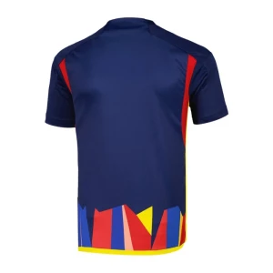 Fotbalové Dresy Olympique Lyonnais 2023-24 Alternativní Dres Mužské
