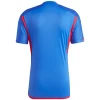 Fotbalové Dresy Olympique Lyonnais 2023-24 Venkovní Dres Mužské