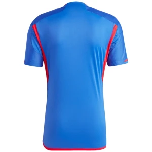 Fotbalové Dresy Olympique Lyonnais 2023-24 Venkovní Dres Mužské