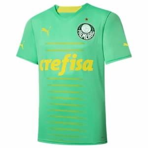Fotbalové Dresy Palmeiras 2022-23 Alternativní