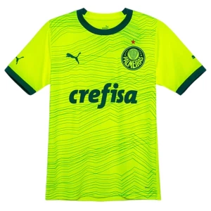 Fotbalové Dresy Palmeiras 2023-24 Alternativní