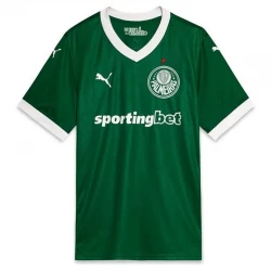 Fotbalové Dresy Palmeiras 2025-26 Domácí Dres Mužské
