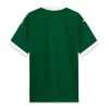 Fotbalové Dresy Palmeiras 2025-26 Domácí Dres Mužské