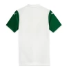 Fotbalové Dresy Palmeiras 2025-26 Venkovní Dres Mužské