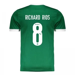 Fotbalové Dresy Palmeiras Richard Rios #8 2025-26 Domácí Dres Mužské