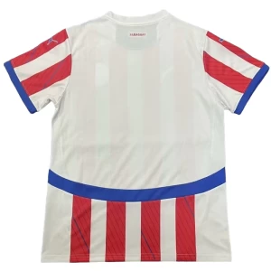 Fotbalové Dresy Paraguay Copa America 2024 Domácí Dres Mužské