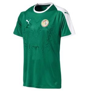 Fotbalové Dresy Senegal 2018 Mistrovství Světa Venkovní