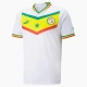 Fotbalové Dresy Senegal Mistrovství Světa 2022 Domácí Dres Mužské