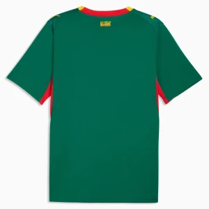 Fotbalové Dresy Senegal Mistrovství Světa 2026 Venkovní Dres Mužské