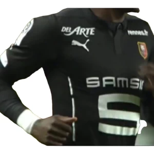 Fotbalové Dresy Stade Rennais FC 2014-15 Alternativní