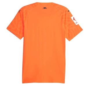 Fotbalové Dresy Valencia CF 2023-24 Alternativní Dres Mužské