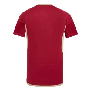 Fotbalové Dresy Venezuela Copa America 2024 Domácí Dres Mužské