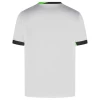 Fotbalové Dresy VfL Wolfsburg 2024-25 Alternativní Dres Mužské