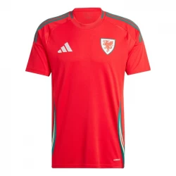 Fotbalové Dresy Wales 2024 Domácí Dres Mužské