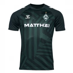 Fotbalové Dresy Werder Bremen 2023-24 Alternativní Dres Mužské