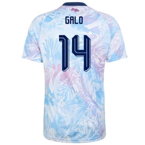 Galo #14 Fotbalové Dresy Kostarika 2026 Venkovní Dres Mužské