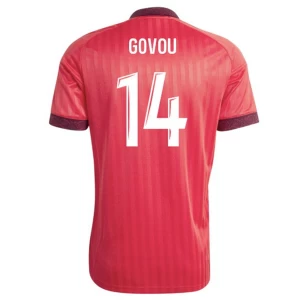 Govou #14 Fotbalové Dresy Olympique Lyonnais 2026-27 Venkovní Dres Mužské